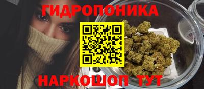 ешки Будённовск