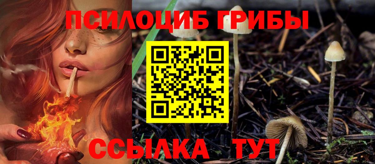 цена наркотик  Вход с VPN  Киреевск  Псилоцибиновые грибы ЛСД  Галлюциногенные грибы GOLDEN TEACHER 