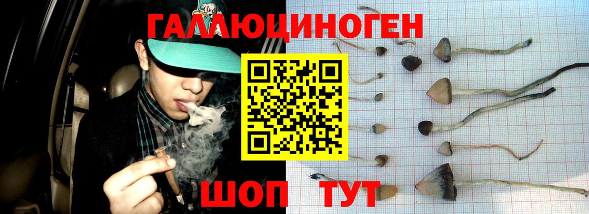 Галлюциногенные грибы Magic Shrooms Киреевск